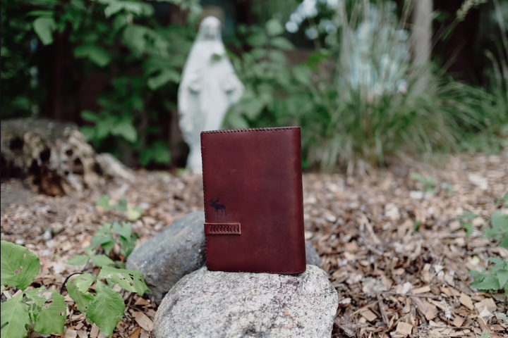 The Great Adventure Bible Cover