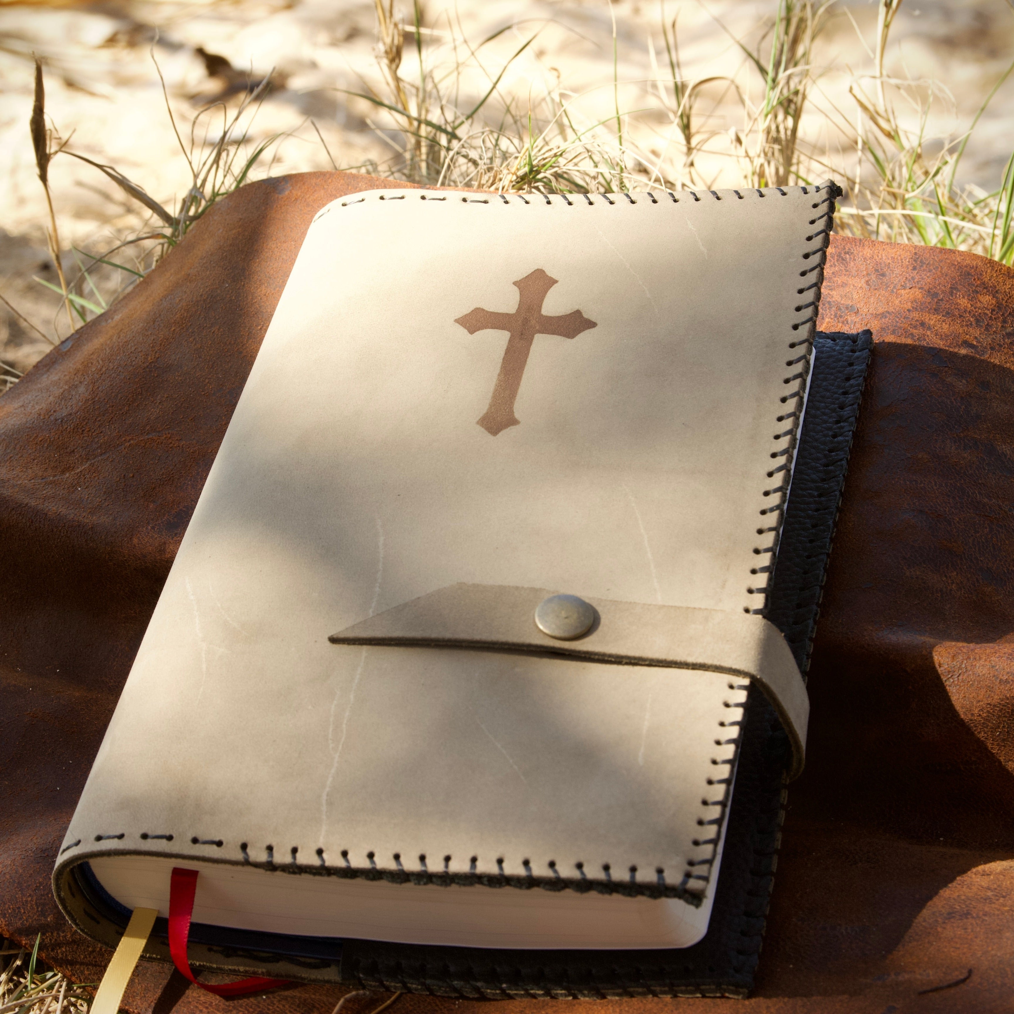 The Great Adventure Bible Cover – OréMoose