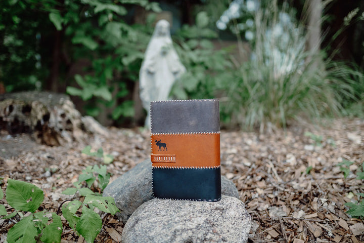 The Great Adventure Bible Cover - Three Kings (Saul, David and Solomon)